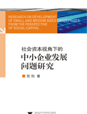 社会资本视角下的中小企业发展问题研究