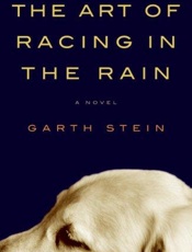 The Art of Racing in the Rain - Garth Stein