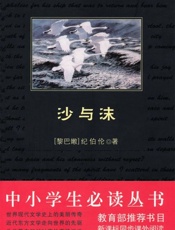 中小学生必读丛书 沙与沫（双语版）-纪伯伦