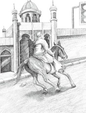 边疆动物小说_索勒，索勒 - 李娟