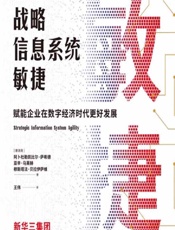 战略信息系统敏捷：赋能企业在数字经济时代更好发展 - [摩洛哥]阿卜杜勒凯比尔·萨希德,[摩洛哥]亚辛·马莱赫,[摩洛哥]穆斯塔法·贝拉伊萨维,王伟