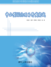 中小型Web项目开发实战