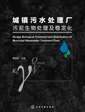 城镇污水处理厂污泥生物处理及稳定化