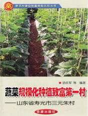 蔬菜规模化种植致富第一村———山东省寿光市三元朱村