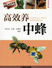 高效养中蜂