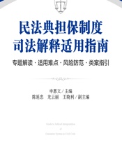 民法典担保制度司法解释适用指南——专题解读·适用难点·风险防范·类案指引 - 申惠文