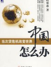 中国怎么办——当次贷危机改变世界 - 时寒冰