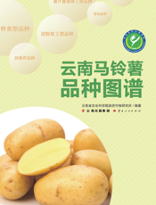 云南马铃薯品种图谱