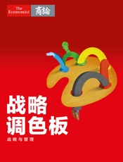 战略调色板——战略与管理