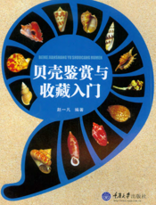 贝壳鉴赏与收藏入门