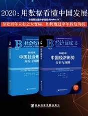 2020：用数据看懂中国发展（经济蓝皮书_社会蓝皮书）