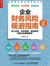 企业财务风险规避指南——会计实务、财务管理、税收筹划关键点及疑难解析