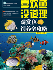 喜欢鱼没道理——观赏鱼饲养全攻略