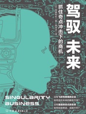 驾驭未来：抓住奇点冲击下的商机