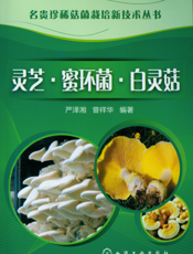 灵芝·蜜环菌·白灵菇