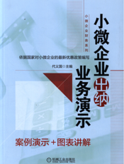 小微企业出纳业务演示