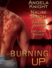 Burning Up - Angela Knight; Nalini Singh; Vi