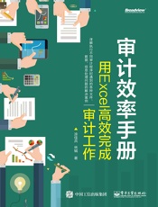 审计效率手册：用Excel高效完成审计工作