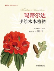 玛蒂尔达手绘木本植物