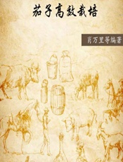 茄子高效栽培 - 肖万里等