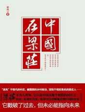 中国在梁庄-梁鸿