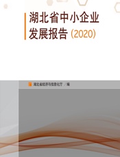 湖北省中小企业发展报告（2020） - 湖北省经济和信息化厅