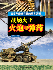 战场火王_火炮与弹药