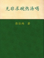 无非求碗热汤喝-张佳玮
