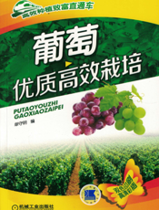 葡萄优质高效栽培