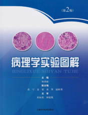 病理学实验图解（第2版）