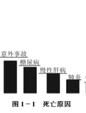 食品营养与健康生活