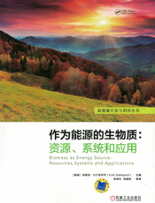 作为能源的生物质：资源、系统和应用