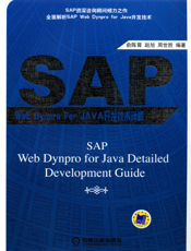SAP Web Dynpro For JAVA开发技术详解