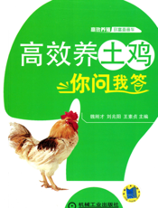 高效养土鸡你问我答