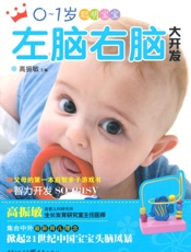 0-1岁聪明宝宝左脑右脑大开发
