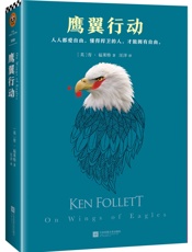 肯福莱特经典：鹰翼行动