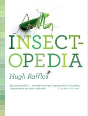 Insectopedia - Hugh Raffles