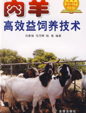 肉羊高效益饲养技术-冯维祺