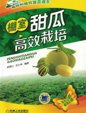 棚室甜瓜高效栽培