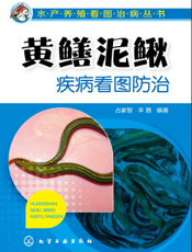 黄鳝泥鳅疾病看图防治