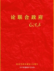 论联合政府