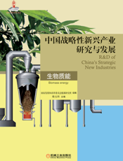 中国战略性新兴产业研究与发展生物质能