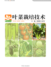 叶菜栽培技术