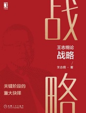 王志纲论战略