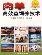 肉羊高效益饲养技术