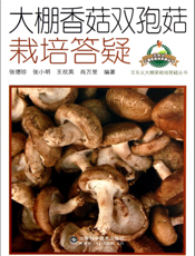 大棚香菇双孢菇栽