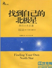 找到自己的北极星