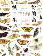 缤纷的生命