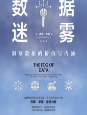 数据迷雾：洞察数据的价值与内涵 - [美]杰森·辛克