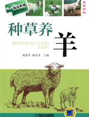 种草养羊